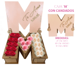 CAJA M