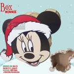 BOX CABEZA MINNIE