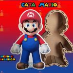CAJA MARIO