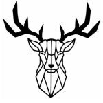 VENADO