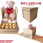 BOX SORPRESA
