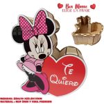 BOX MINNIE